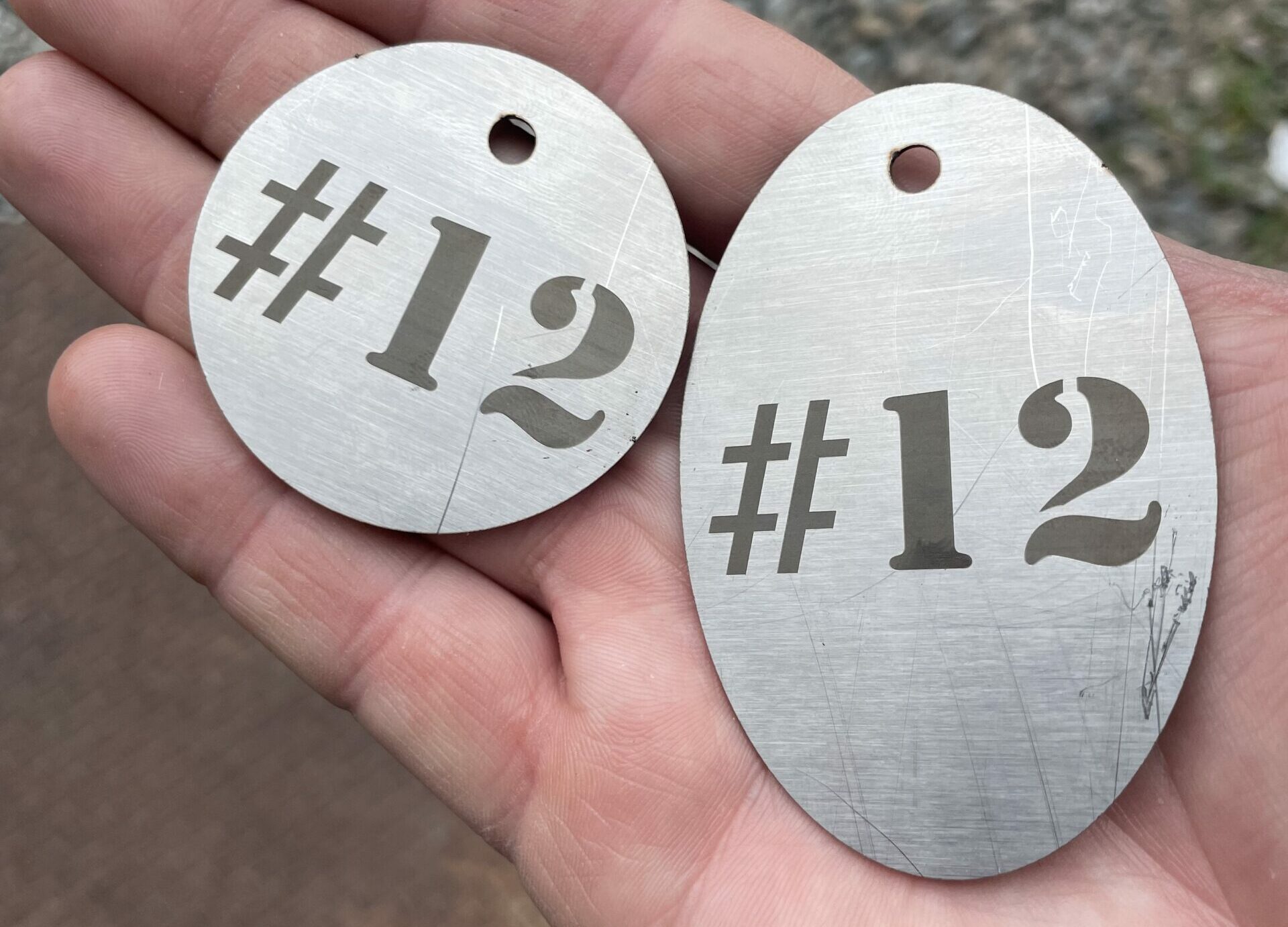 Engraved Pet Tags: A Palm holds two silver metal tags" one is circular and one is an elongated oval. Both have a hole punched at the top and "#12" laser engraved onto them.